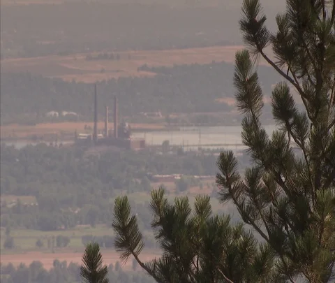 Zoom in to coal power plant through branches and haze Stock Footage 86691123
