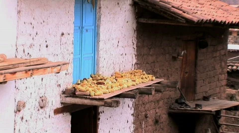  zoom to corn outside in Peru Stock Footage 156951