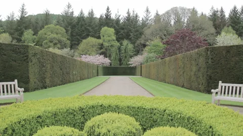 Zoom down garden path Stock Footage 38853116