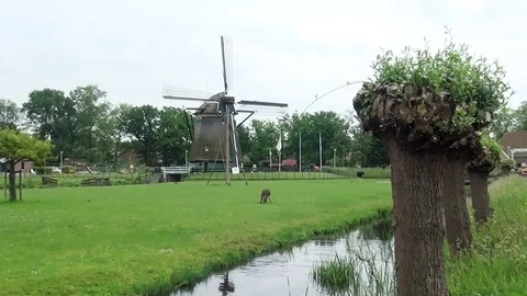 Zoom In on the Dutch windmill. Video stock 85396363