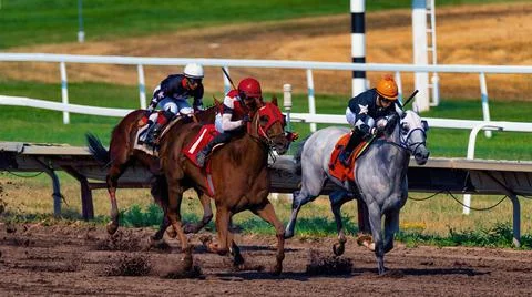 Zoom effect applied to horses running at York Race Course. Stock Photos
