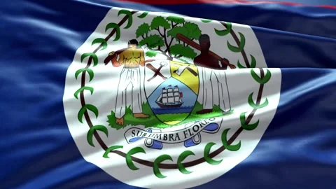 Zoom  Flag BELIZE Stock Footage 343332497