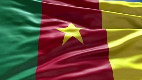 Zoom  Flag CAMEROON Stock Footage 343332668