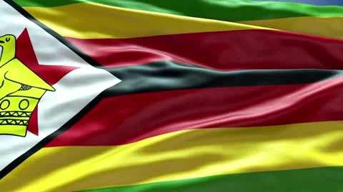 Zoom  Flag ZIMBABWE Stock Footage 342775481
