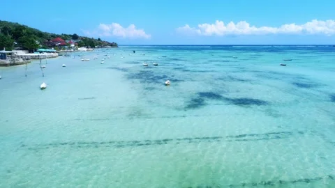 Zoom in: fly over blue coastline with seaweed farms in Indonesia Stock Footage 202054161