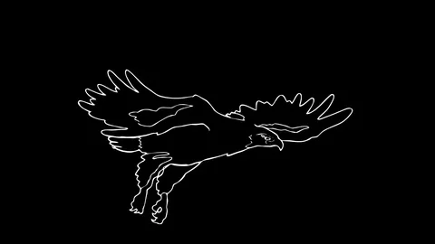 Zoom in to flying eagle. Video stock 100510253