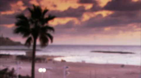 Zoom focus to beach and palm tree Stock Footage 12761325