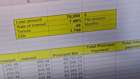 Zoom in footage to the excel sheet on computer screen showing bank loan amo.. Stock Footage 276535627
