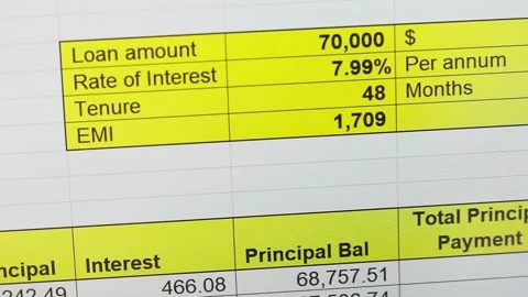 Zoom in footage to the excel sheet on computer screen showing bank loan amo.. Stock Footage 276535729