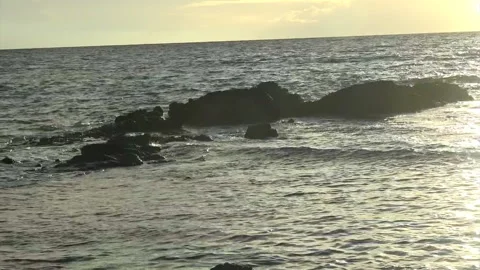 Zoom to Forked Tree Stock Footage 138174862