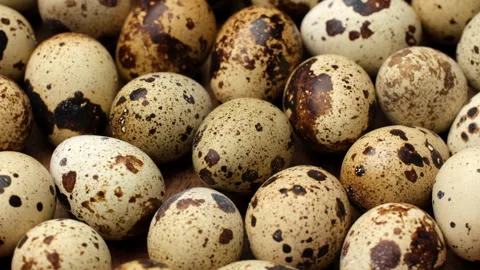 Zoom frame quail eggs, rotate. Organic farming, natural food Stock Footage 247628714
