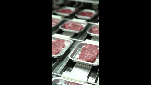 Zoom In on Fresh Raw Meat in Packaging Container Stock Footage 335258406