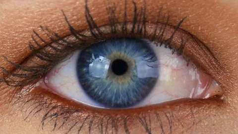Blue Eye Macro • View topic - DMO CLONING TRICK :)