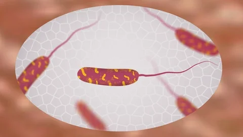 Zoom into Human Skin Bacteria. Stock Footage 108825463
