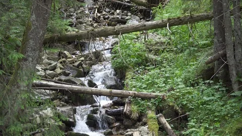 Zoom in. landscape mountain stream among the trees Stock Footage 113256829