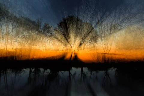Zoom light dawn trees Stock Photos