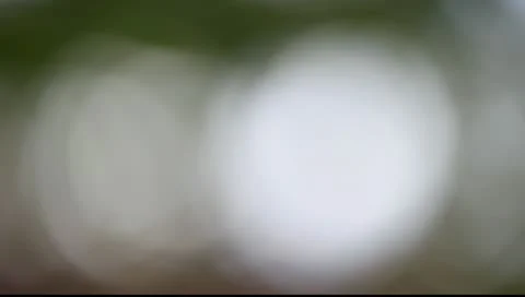 Zoom light Stock Footage 10600065