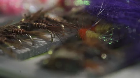 Zoom In Macro Shot Of Nymph Pattern Wet Flies, Fly Fishing For Trout And Stock Footage 148402824