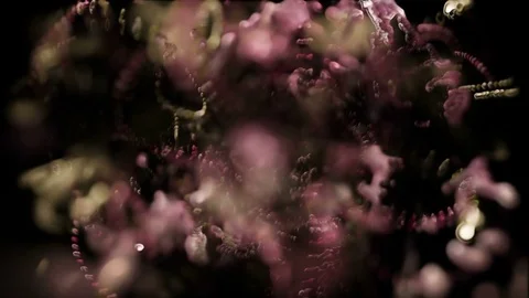 Zoom into microscopic viral particles - Virus 011 HD, 4K Stock Video Stock Footage 74190745