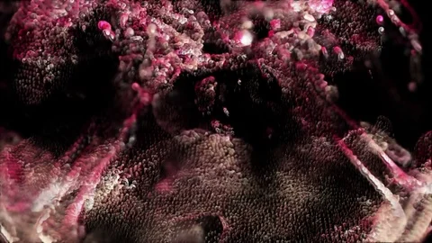 Zoom into microscopic viral particles - Virus 010 HD, 4K Stock Footage Stock Footage 74191898