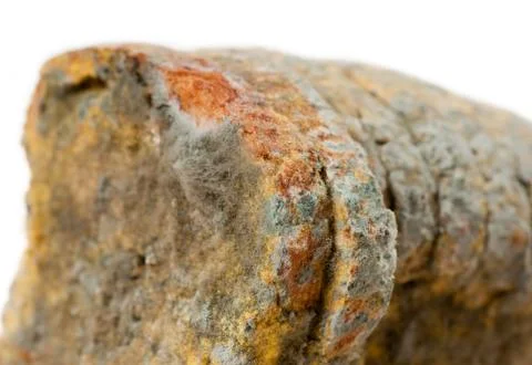 Zoom at moldy bread slices Stock Photos