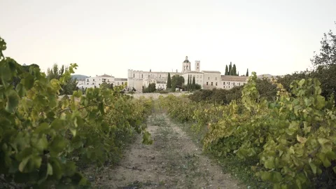 Zoom in to Monastery Surrounded by Vines Stock Footage 119242890