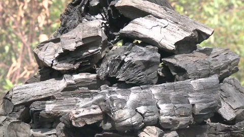 Zoom out of a bag full of burnt wood Stock Footage 310540865