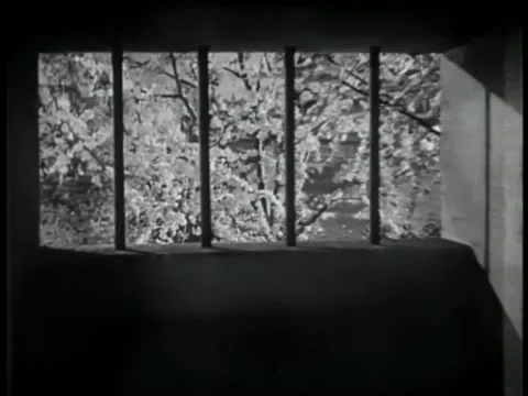 Zoom out blooming tree through prison wi... | Stock Video | Pond5