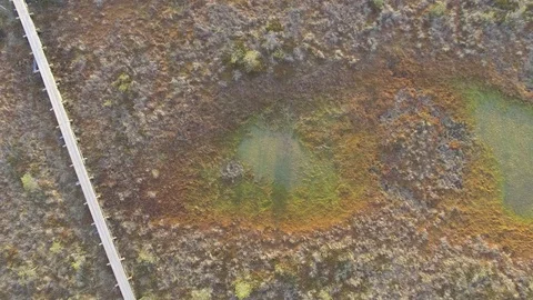 Zoom out bog trail Video stock 74873639