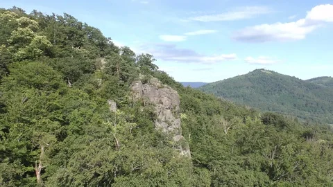 Zoom out cliff wall in forrest Stock Footage 97899054
