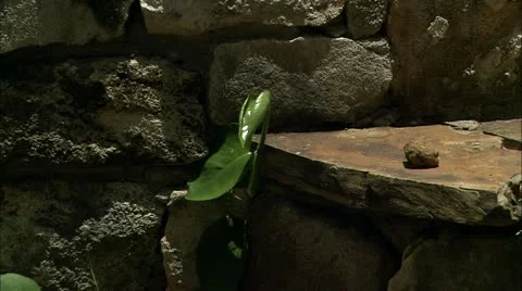 Zoom out from close up to medium of ruins Stock Footage 22666018