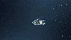 Crew of Fishermen Work on Commercial Fis, Stock Video