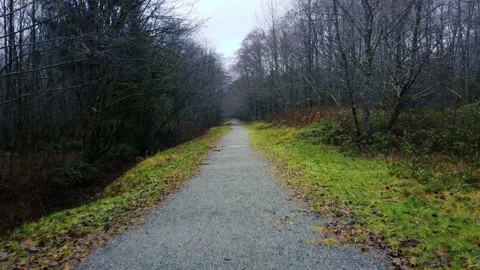 Zoom out from empty trail in the middle of scary lonely forest Stock Footage 147236448