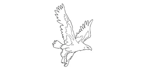 Zoom out to flying eagle. Video stock 100435004