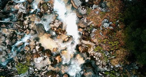 Zoom out footage of a mountain stream in the forest / clip 2 Stock Footage 110762776