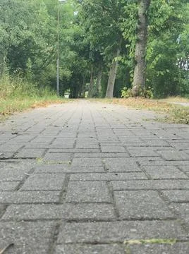Zoom out ground perspective of stone brick pavement of empty pathway with trees  Stock Photos