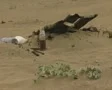 Zoom out from holly in sand SD Footage