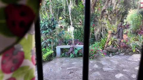 Zoom Out from Kitchen Window Revealing a Peaceful Lush Garden Stock Footage 332380487