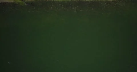Zoom out of lake 库存影片 279520062
