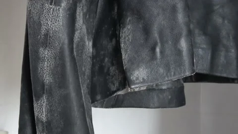 Zoom out leather jacket affected by mould Stock Footage 150577978