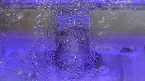 Zoom out: Machine washing dentures in a dental laboratory, prosthetic dentistry Video stock 76779024