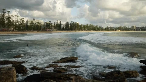 Zoom out Manly beach lined with Norfolk Island Pine trees Sydney 4K Stock Footage 312582533