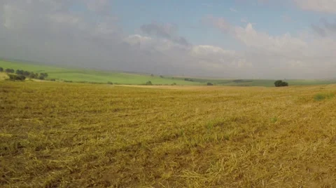 Zoom out over the meadow Stock Footage 54132752