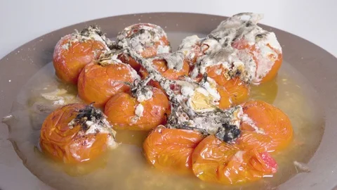 Zoom out from plate with cherry tomatoes with undesirable mold Vídeo Stock 124596944