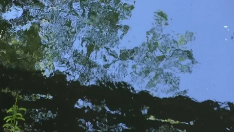 Zoom out: Reflection of trees in the water of a small stream Stock Footage 76767756