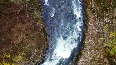 Zoom Out from river canyon with amazing autumn colors in fall forest Stock Footage 80908300