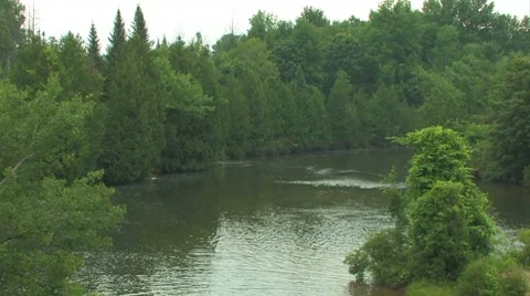 Zoom out river Stock Footage 7765764