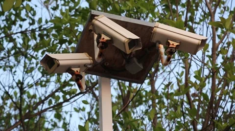Zoom Out from Security Cameras on Pole with Tree Background Stock Footage 49363782