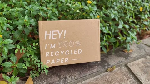 Zoom out to see cardboard boxes made from recycled paper Vidéo 330343158