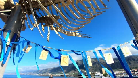 Zoom out shot of sei whale skeleton (Balaenoptera borealis)Los Silos,Tenerife 4K Stock Footage 173856597